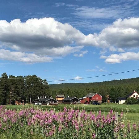 Roste Hyttetun og Camping Os (Hedmark) Exteriér fotografie