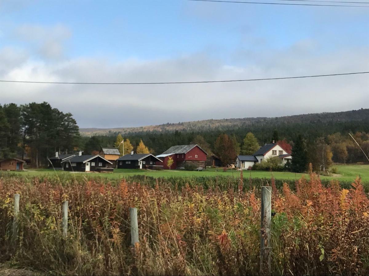 Roste Hyttetun og Camping Os (Hedmark) Exteriér fotografie