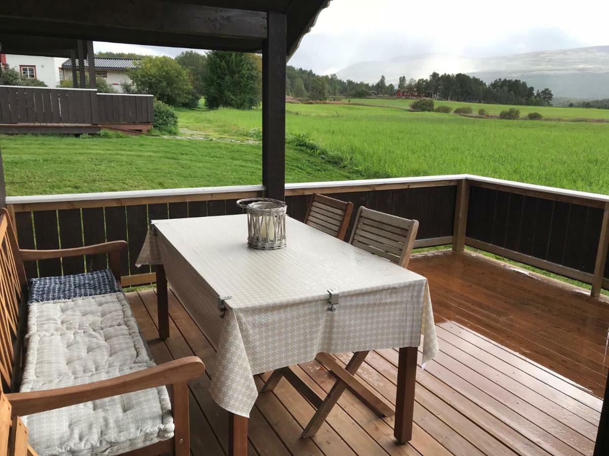 Roste Hyttetun og Camping Os (Hedmark) Exteriér fotografie