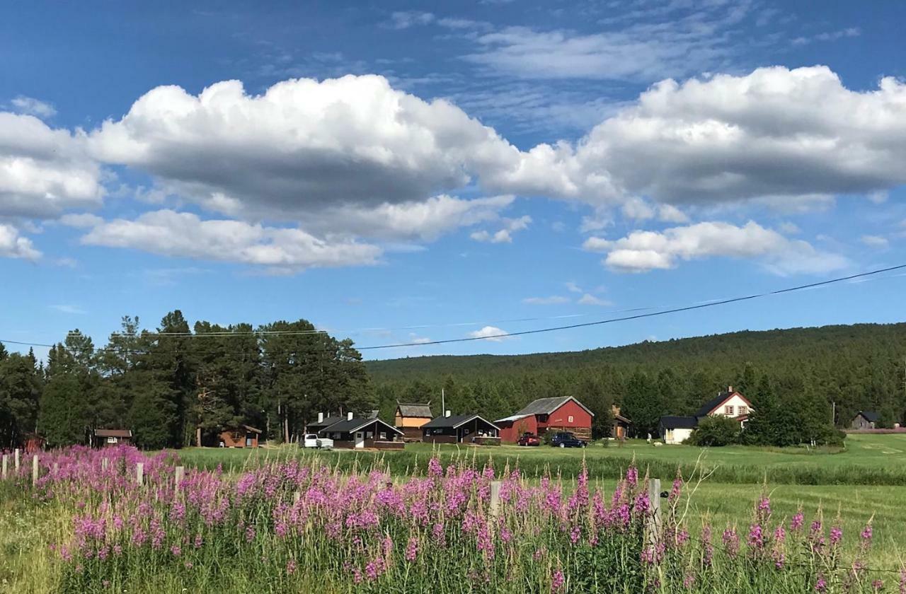 Roste Hyttetun og Camping Os (Hedmark) Exteriér fotografie